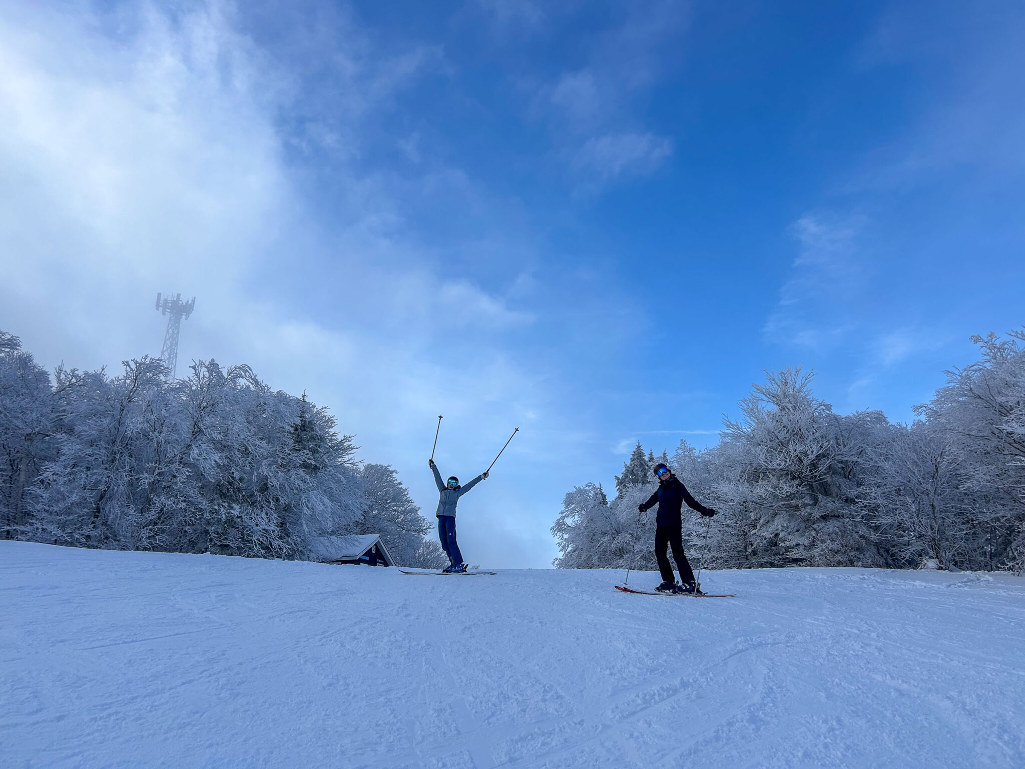 Two skiers on a snowy run, one with arms and poles raised in celebration